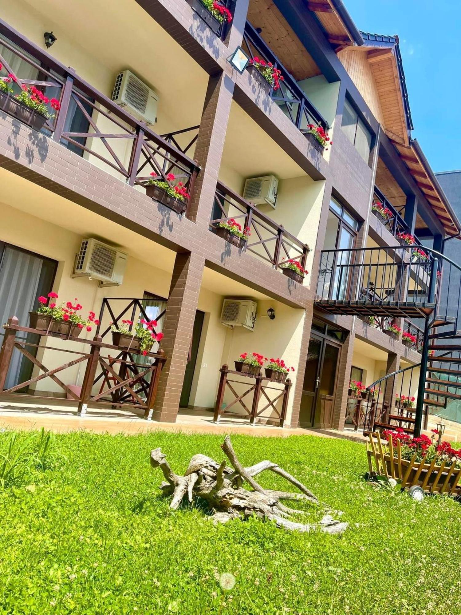 Hotel Mustaciosul Dunarii Ieşelniţa Zewnętrze zdjęcie
